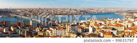 Aerial view of Istanbul 99635797