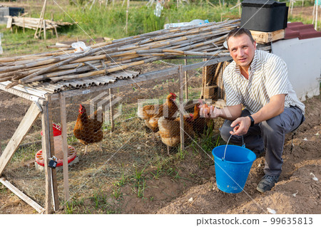 Male farmer collecting chicken eggs in chicken coop outdoors Male farmer collecting chicken eggs in chicken coop outdoors 99635813