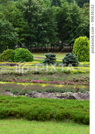 希瑟公園 99636182