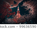 夜櫻花和東京塔的夜景 99636590