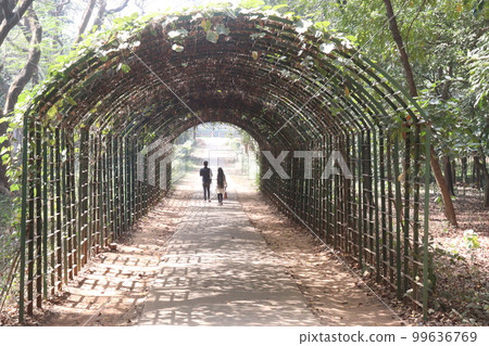 a garden tunnel with flower plant and couple 99636769