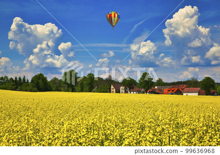 Beautiful rapeseed field in Bohemia Beautiful rapeseed field in Bohemia 99636968