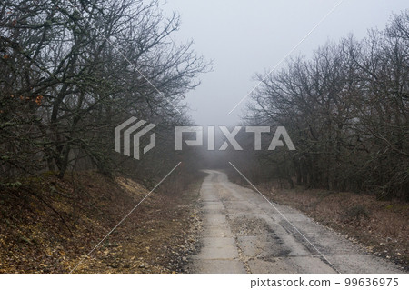 Landscape of Karadag Reserve in spring. View of trees on mountain in fog and clouds. Crimea 99636975