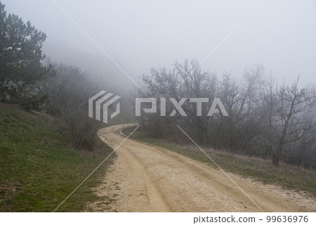 Landscape of Karadag Reserve in spring. View of trees on mountain in fog and clouds. Crimea Landscape of Karadag Reserve in spring. View of trees on mountain in fog and clouds. Crimea 99636976