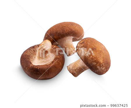 Shiitake mushroom on the White background Shiitake mushroom on the White background 99637425