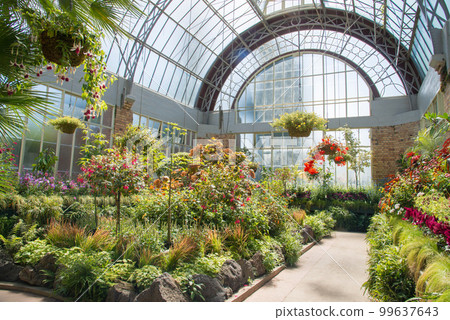 The Winter Garden at the Auckland Domain is a treasure of great historic interest. It was designed in the early 1900s in the style of the famous English. 99637643