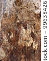 The texture of a tree trunk and grunge effect. Dry brown oak tree bark texture close-up photoshoot. Brown bark tree surface on a sunny day photo. The embossed texture of an oak tree. 99638426