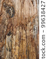 Cracked wood texture with a splash of bark close-up photoshoot. Wood surface with cracked texture. The embossed texture of an oak tree. Brown bark tree surface on a sunny day photo. 99638427