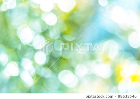 Bokeh of sunlight through the trees 99638546