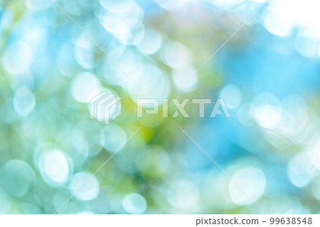 Bokeh of sunlight through the trees 99638548