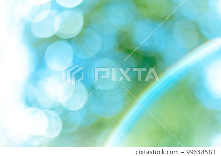 陽光散景 99638581