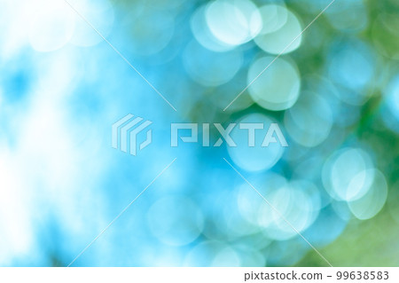 Bokeh of sunlight through the trees 99638583