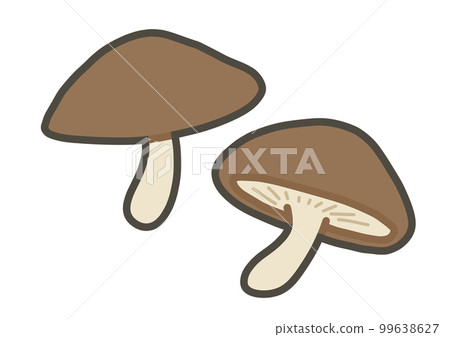 Shiitake mushroom hand drawn illustration 99638627