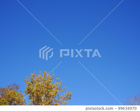 Autumn sky copy space of autumn leaves Autumn sky copy space of autumn leaves 99638970