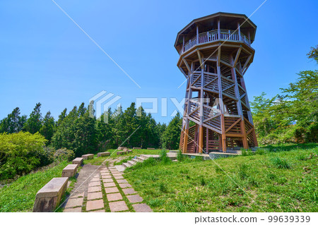 Nanohana stand in Hadano city, Kanagawa prefecture in spring Nanohana stand in Hadano city, Kanagawa prefecture in spring 99639339