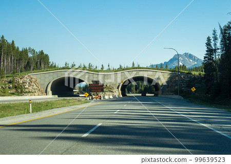 Alberta, Canada - June 28 2021 : Animal Crossing Bridge on Trans Canada Highway, Banff National Park. 99639523