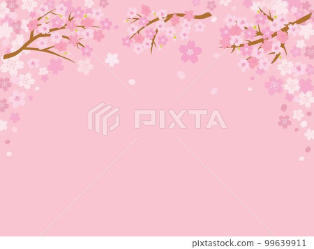 Pink cherry blossom background illustration Pink cherry blossom background illustration 99639911
