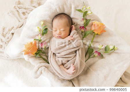新生兒照片新生兒 99640005