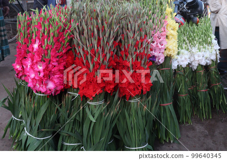pink colored gladioluses flower on shop 99640345