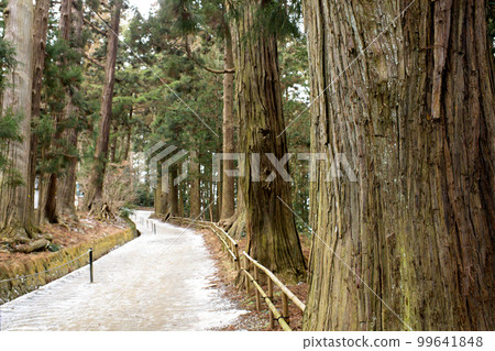 冬天的中尊寺,岩手縣月見坂,大雪松林立 冬天的中尊寺,岩手縣月見坂,大雪松林立 99641848