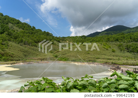 北海道新雪谷天然溫泉大湯沼 99642193