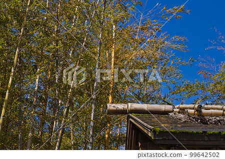 越前竹娃娃村 99642502