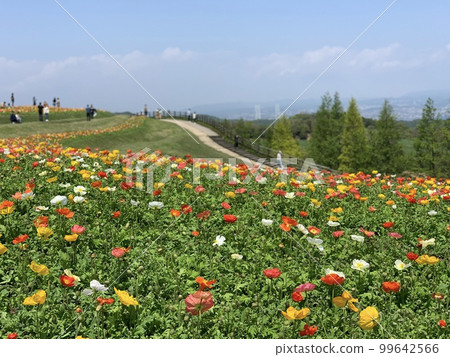 暖心的七彩花圃 99642566