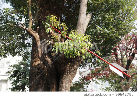 大須商店街 大須觀音 愛知縣名古屋市 99642793