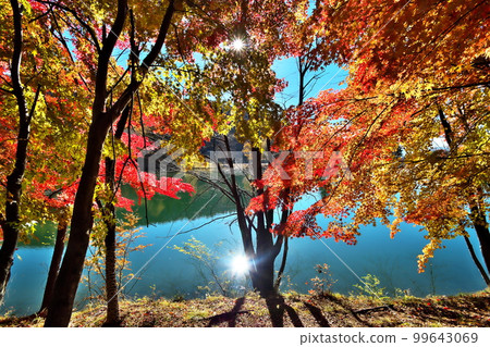 秋葉楓葉池 99643069