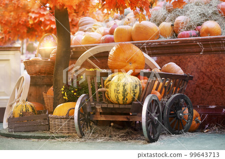 decoration in the shop with pumpkins. autumn background 99643713