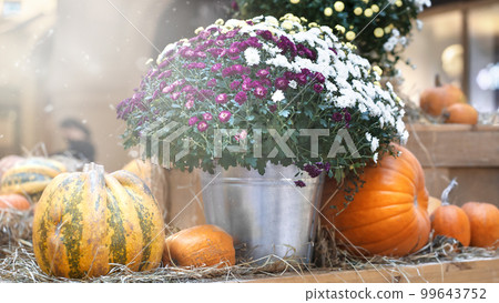 Blurred decoration for autumn with orange pumpkins. 99643752