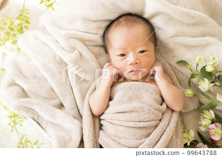 新生兒照片新生兒 99643788