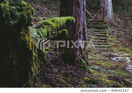 Hiei Enryakuji temple approach 99644167