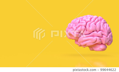 The pink brain on yellow background for creative or idea concept 3d rendering The pink brain on yellow background for creative or idea concept 3d rendering 99644622