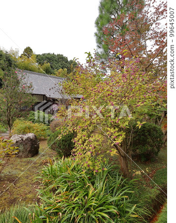 Murasaki Shikibu of Shogakuji Temple 99645007