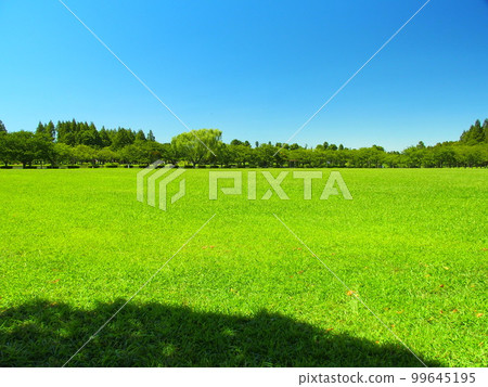 美里公園風景與夏季草地和森林 美里公園風景與夏季草地和森林 99645195