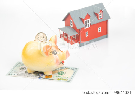 piggy bank for money and a house model with dollars on a white background. 99645321