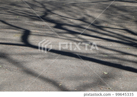Tree shadows on the road 99645335