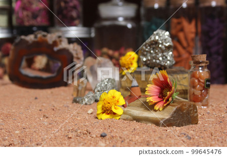 Yellow Flower With Pyrite Rocks and Crystals on Australian Red Sand Yellow Flower With Pyrite Rocks and Crystals on Australian Red Sand 99645476