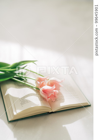 鬱金香和外國書 99645901