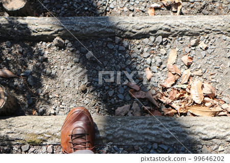 Left foot going down stairs Left foot going down stairs 99646202