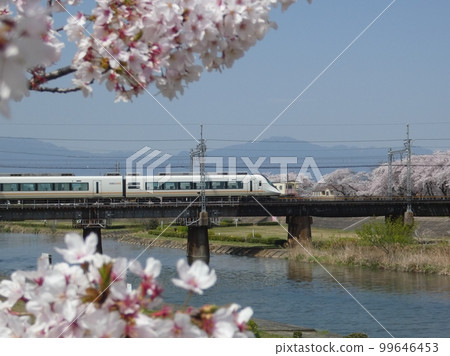 Urban Liner and Sakura Urban Liner and Sakura 99646453