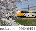 Vistacar and cherry blossoms 99646454