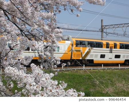 Vistacar and cherry blossoms 99646454