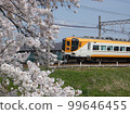 Vistacar and cherry blossoms 99646455