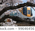 22000 series and cherry blossoms 99646456