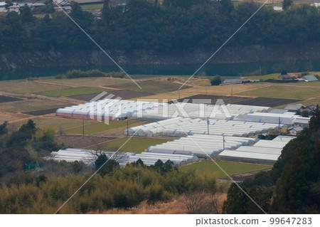 Countryside vinyl house 99647283