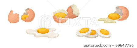 Raw, Boiled and Scrambled Egg with Yolk and Shell Vector Set Raw, Boiled and Scrambled Egg with Yolk and Shell Vector Set 99647786