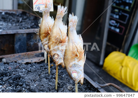 Charcoal-grilled Nodoguro with salt 99647847