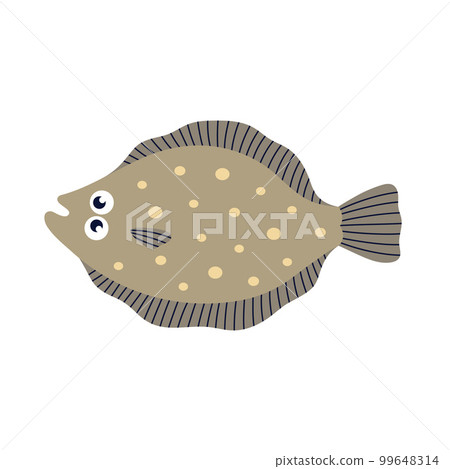 vector illustration of cartoon flounder isolated on white 99648314